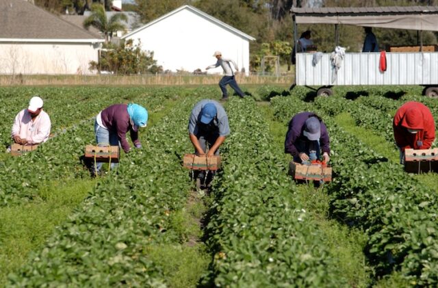 lavoratori della filiera agroalimentare